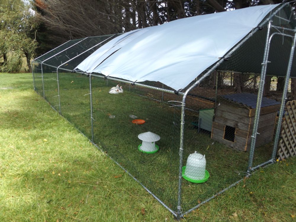 A house for chickens – Uncoffined